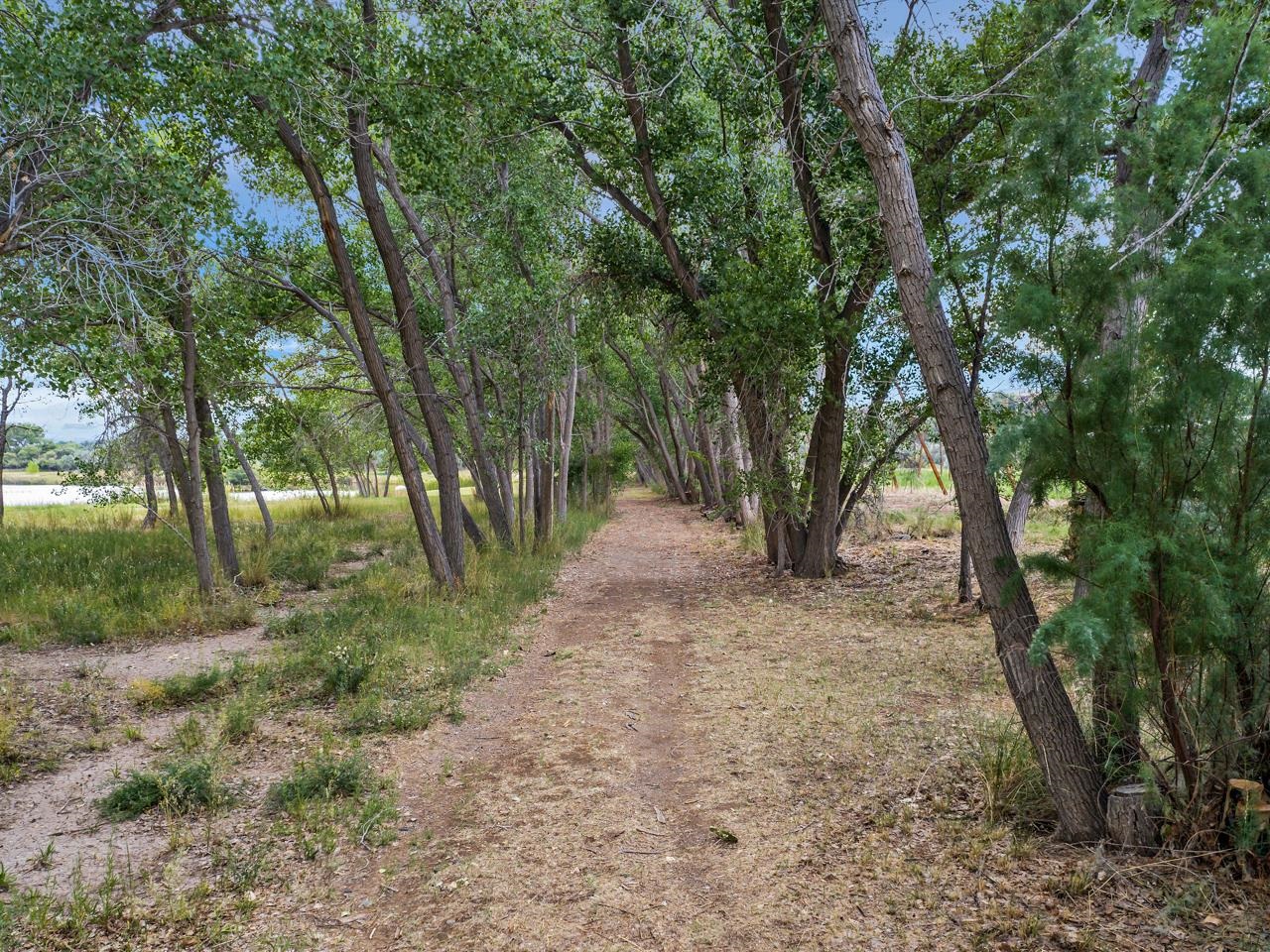 3521 F Road Clifton, CO 81520 - Photo 29 of 42