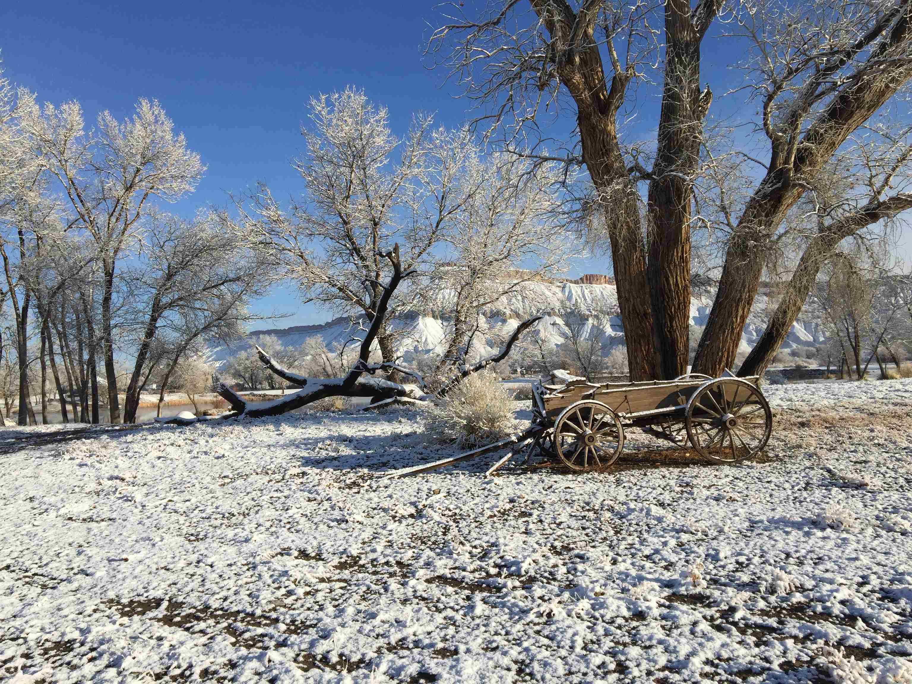 3521 F Road Clifton, CO 81520 - Photo 42 of 42
