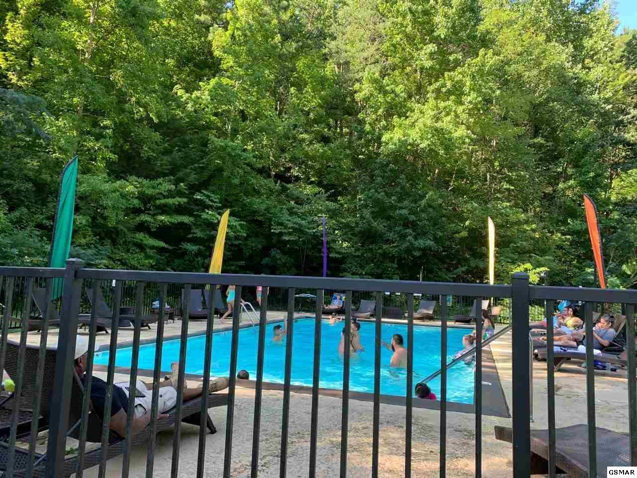 3325 Shagbark Hickory Ridge, Unit FORTWILDERNESSLODGE Sevierville, TN 37862 - Photo 31 of 31 Gallery Image 31
