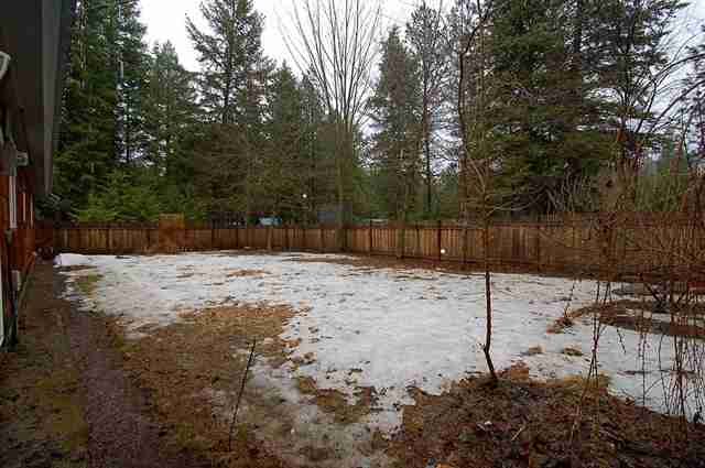3832 White Pine Road Loon Lake, WA 99148 - Photo 8 of 9 Gallery Image 8