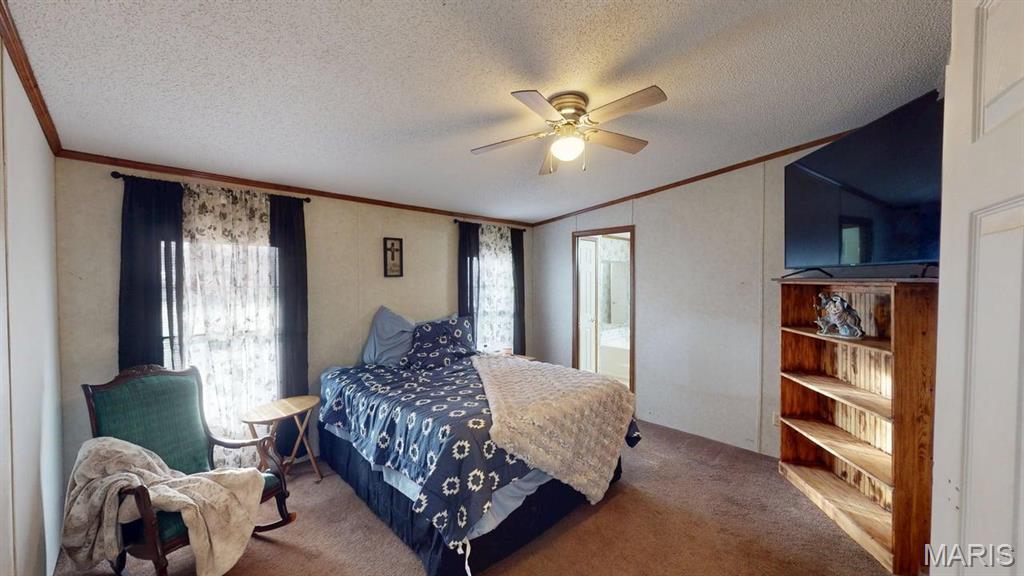 536 Apricot Lane Reeds Spring, MO 65737 - Photo 11 of 39