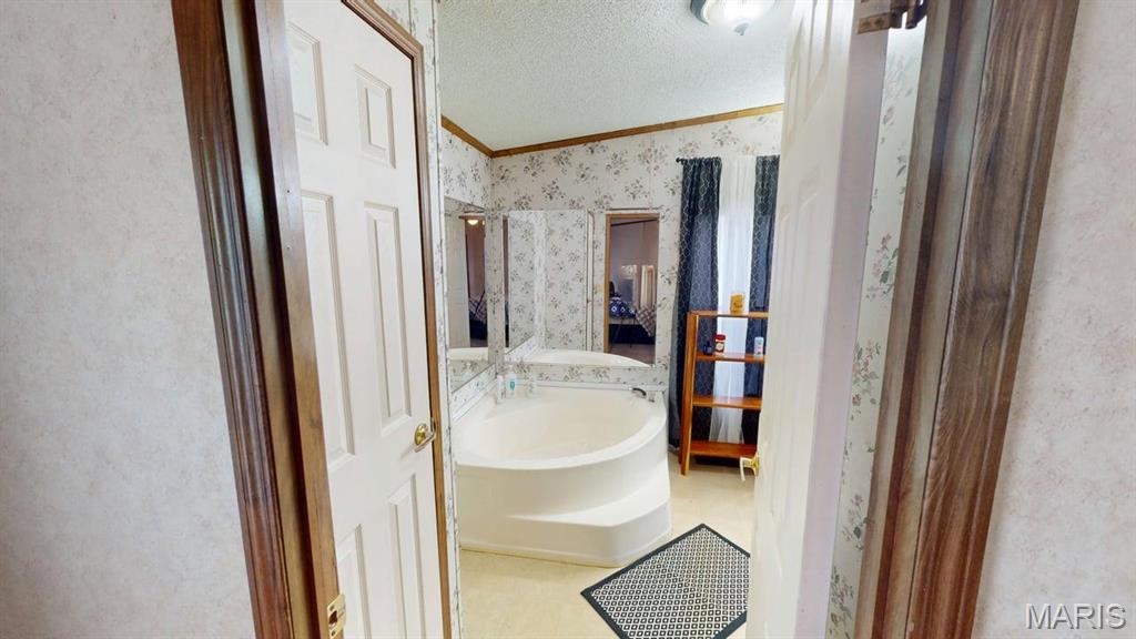 536 Apricot Lane Reeds Spring, MO 65737 - Photo 12 of 39