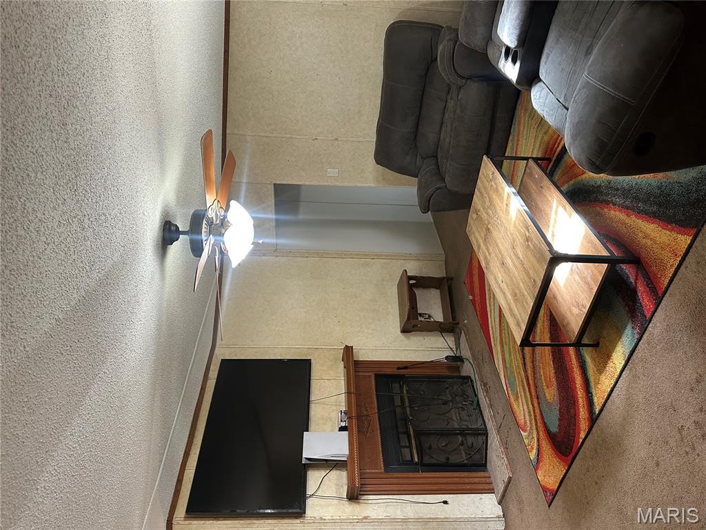 536 Apricot Lane Reeds Spring, MO 65737 - Photo 13 of 27