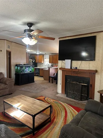 $229,000 | 536 Apricot Lane, Reeds Spring, MO 65737