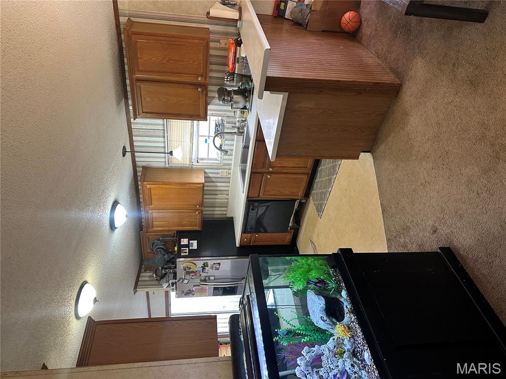 536 Apricot Lane Reeds Spring, MO 65737 - Photo 15 of 27