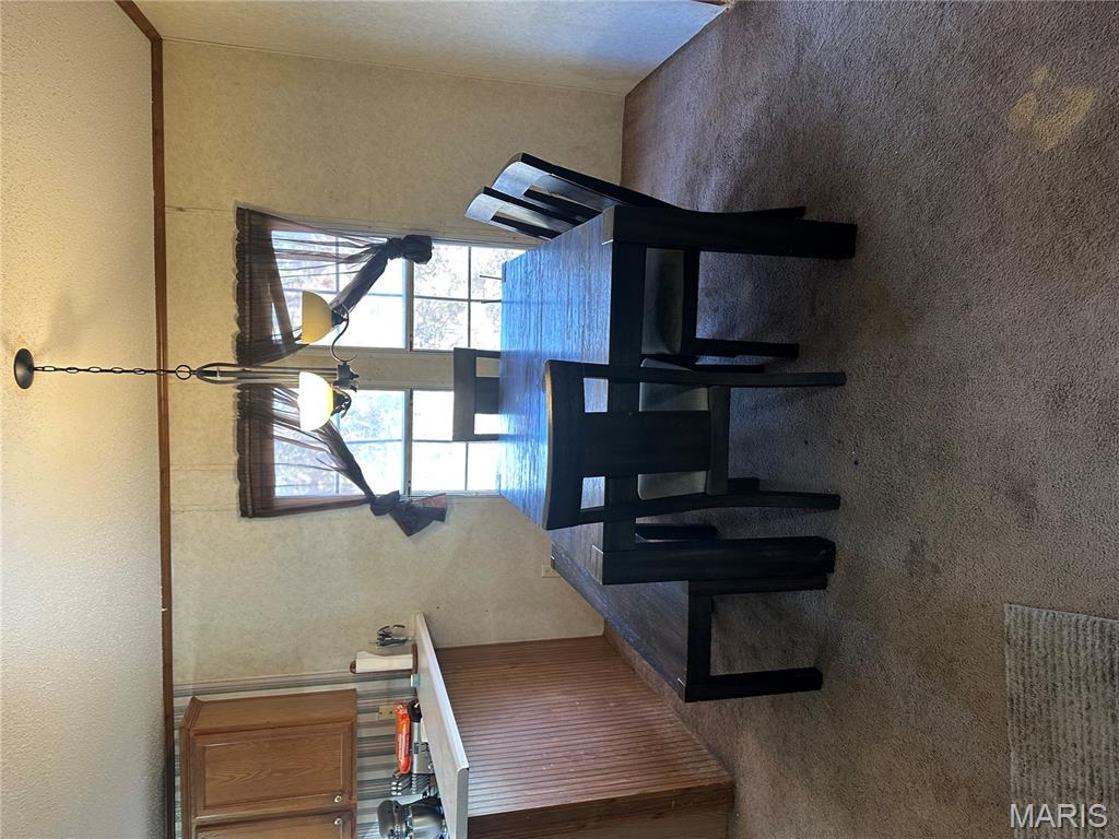 536 Apricot Lane Reeds Spring, MO 65737 - Photo 16 of 27