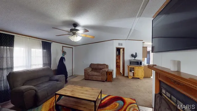 $215,000 | 536 Apricot Lane, Reeds Spring, MO 65737