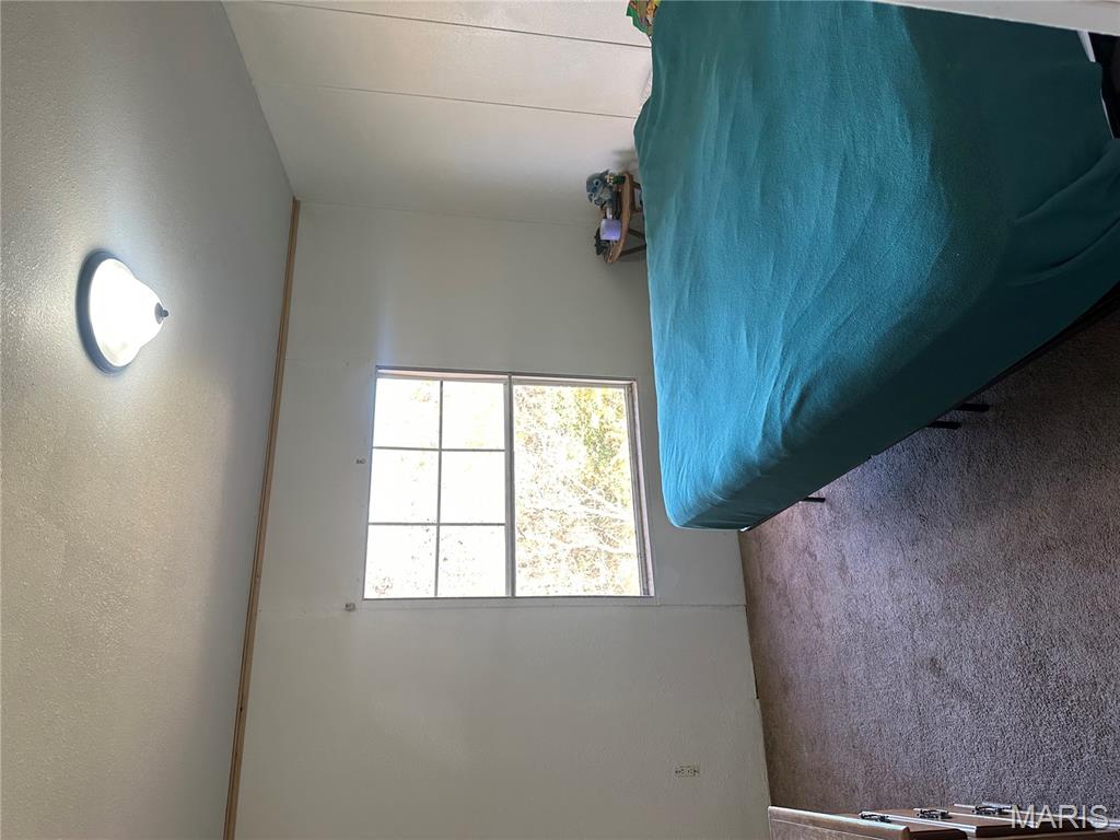 536 Apricot Lane Reeds Spring, MO 65737 - Photo 20 of 27