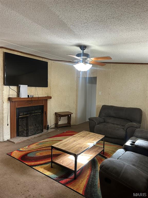 536 Apricot Lane Reeds Spring, MO 65737 - Photo 2 of 27