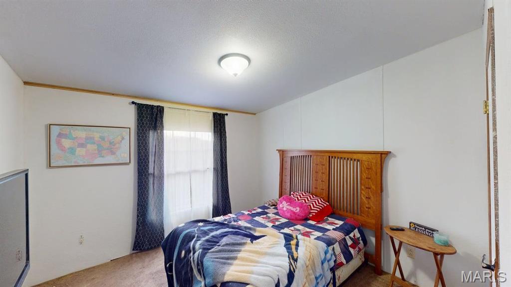 536 Apricot Lane Reeds Spring, MO 65737 - Photo 22 of 39