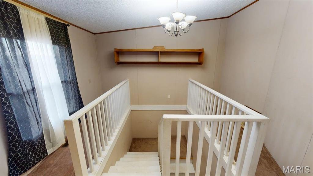 536 Apricot Lane Reeds Spring, MO 65737 - Photo 24 of 39