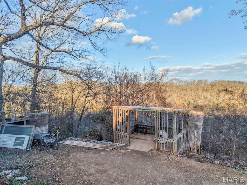 536 Apricot Lane Reeds Spring, MO 65737 - Photo 32 of 39