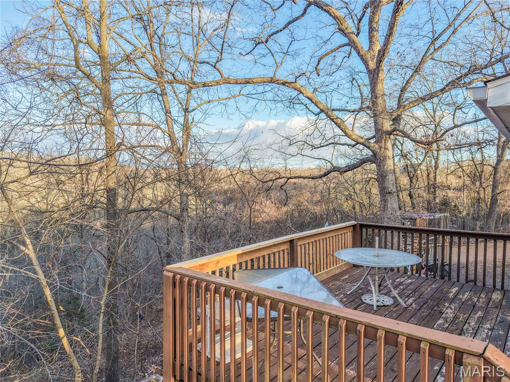 536 Apricot Lane Reeds Spring, MO 65737 - Photo 36 of 39