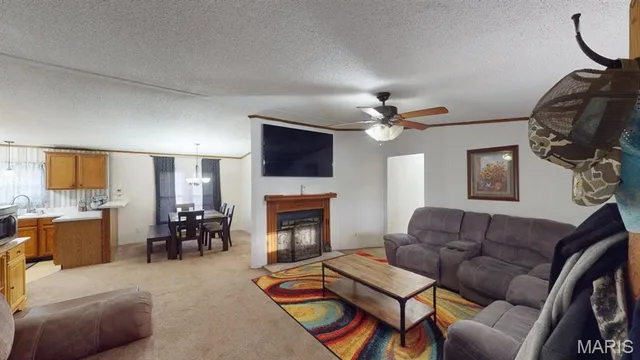 $215,000 | 536 Apricot Lane, Reeds Spring, MO 65737