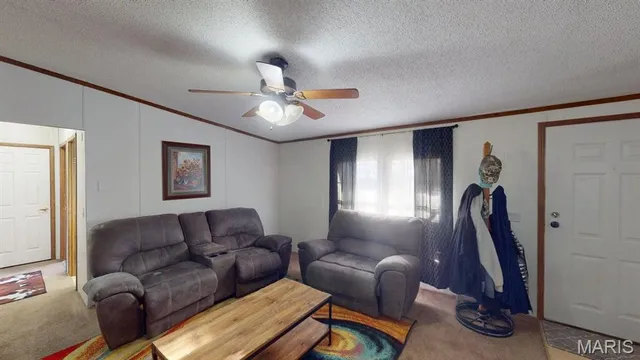 $215,000 | 536 Apricot Lane, Reeds Spring, MO 65737