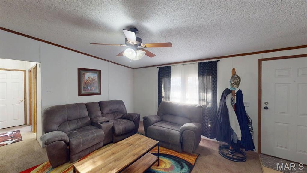 536 Apricot Lane Reeds Spring, MO 65737 - Photo 9 of 39