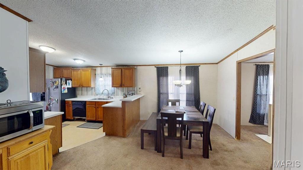 536 Apricot Lane Reeds Spring, MO 65737 - Photo 10 of 39