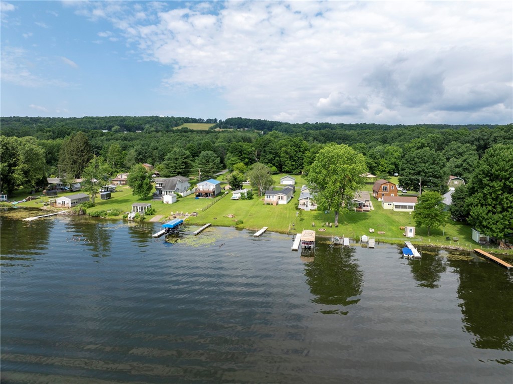 3482 Danilowicz Road Tyrone, NY 14815 - Photo 13 of 48