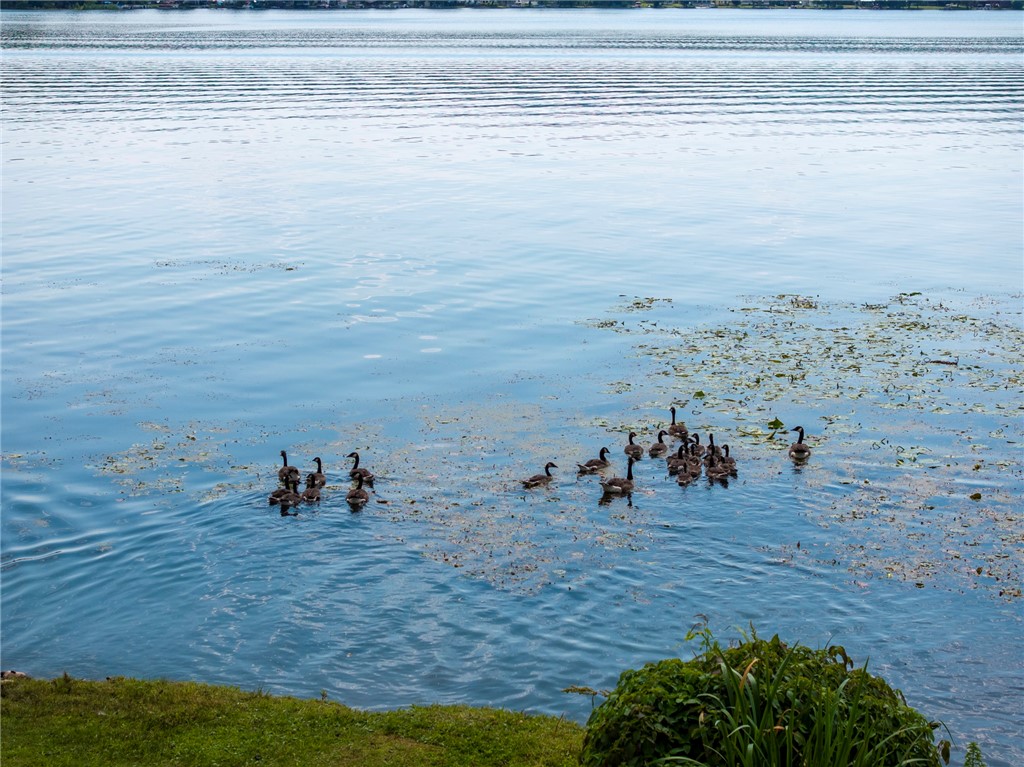 3482 Danilowicz Road Tyrone, NY 14815 - Photo 15 of 48