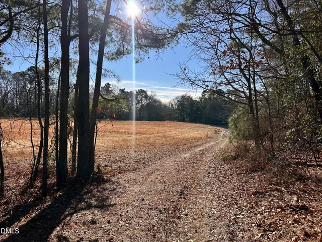 a view of backyard with tree