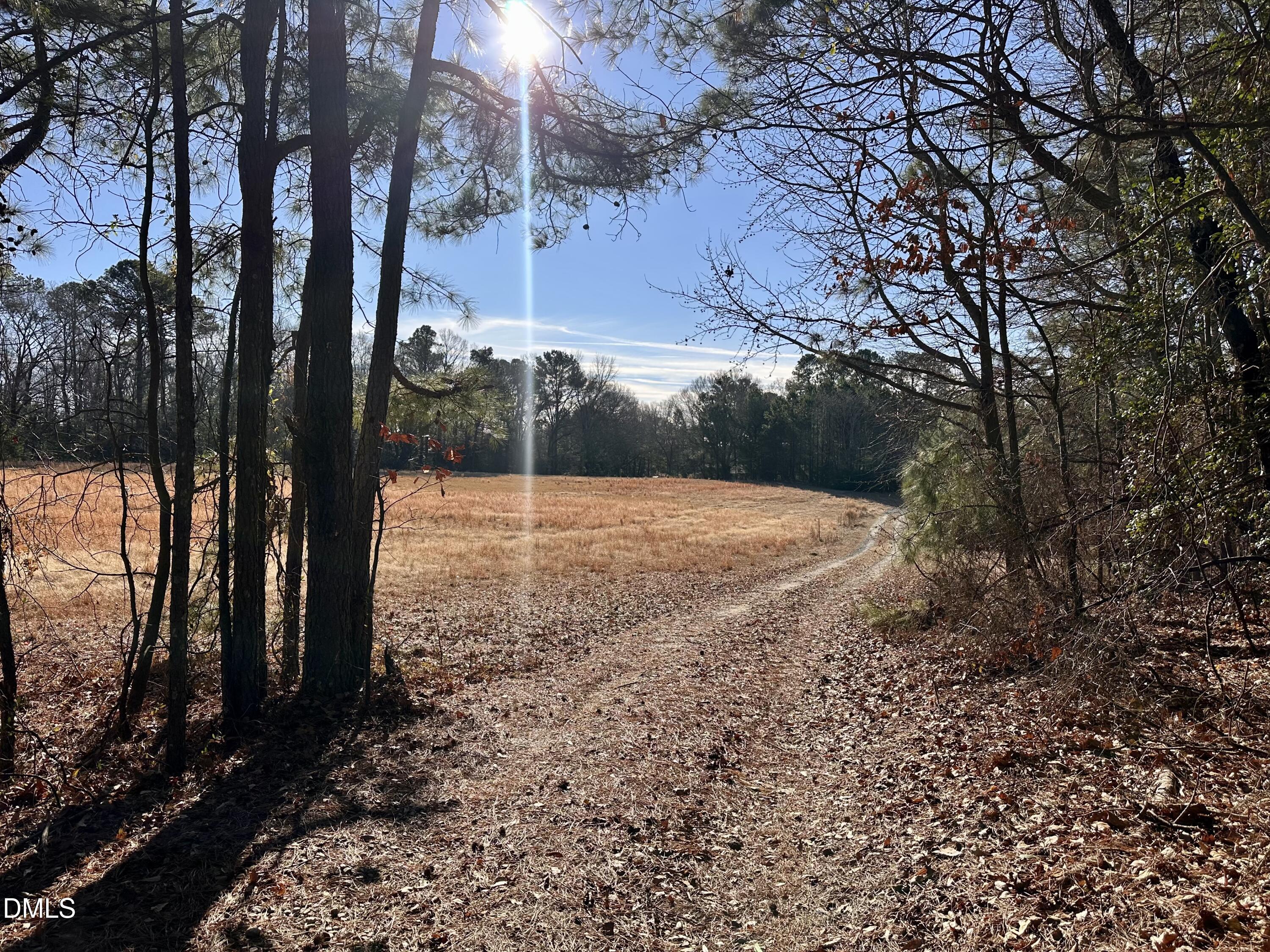 2888 Zacks Mill Road Angier, NC 27501 - Photo 3 of 21 IMG_3965