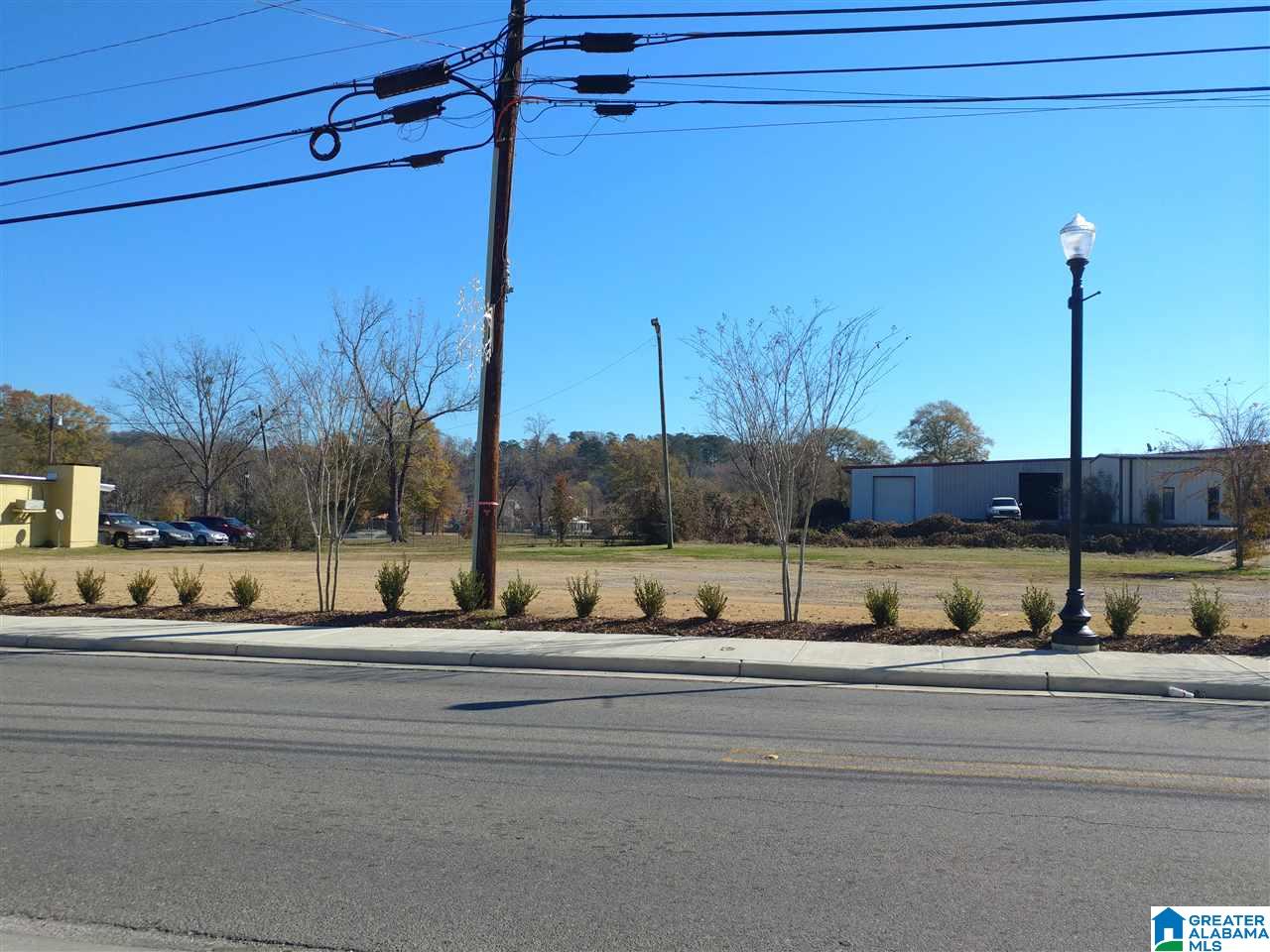 6178 Highway 11 Springville Al Springville, AL 35146 - Photo 4 of 5