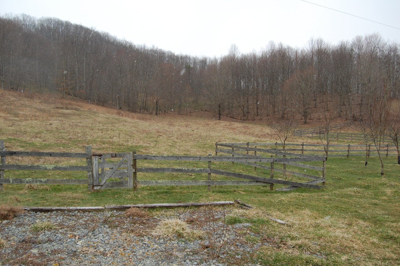 325 Sassafras Road Alderson, WV 24910 - Photo 6 of 21 Gallery Image 6