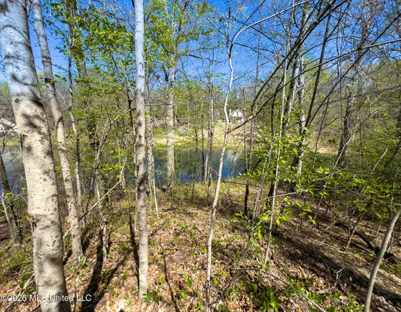 $17,900 | 11072 Horseshoe Bend, Hernando, MS 38632