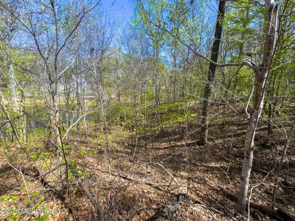 $17,900 | 11072 Horseshoe Bend, Hernando, MS 38632