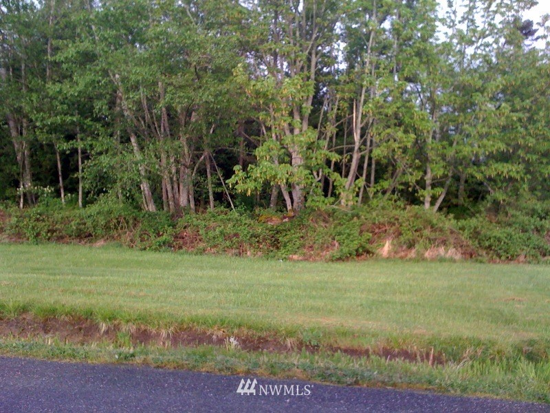 0 Chilliwack Road Blaine, WA 98230 - Photo 1 of 20 Gallery Image 1