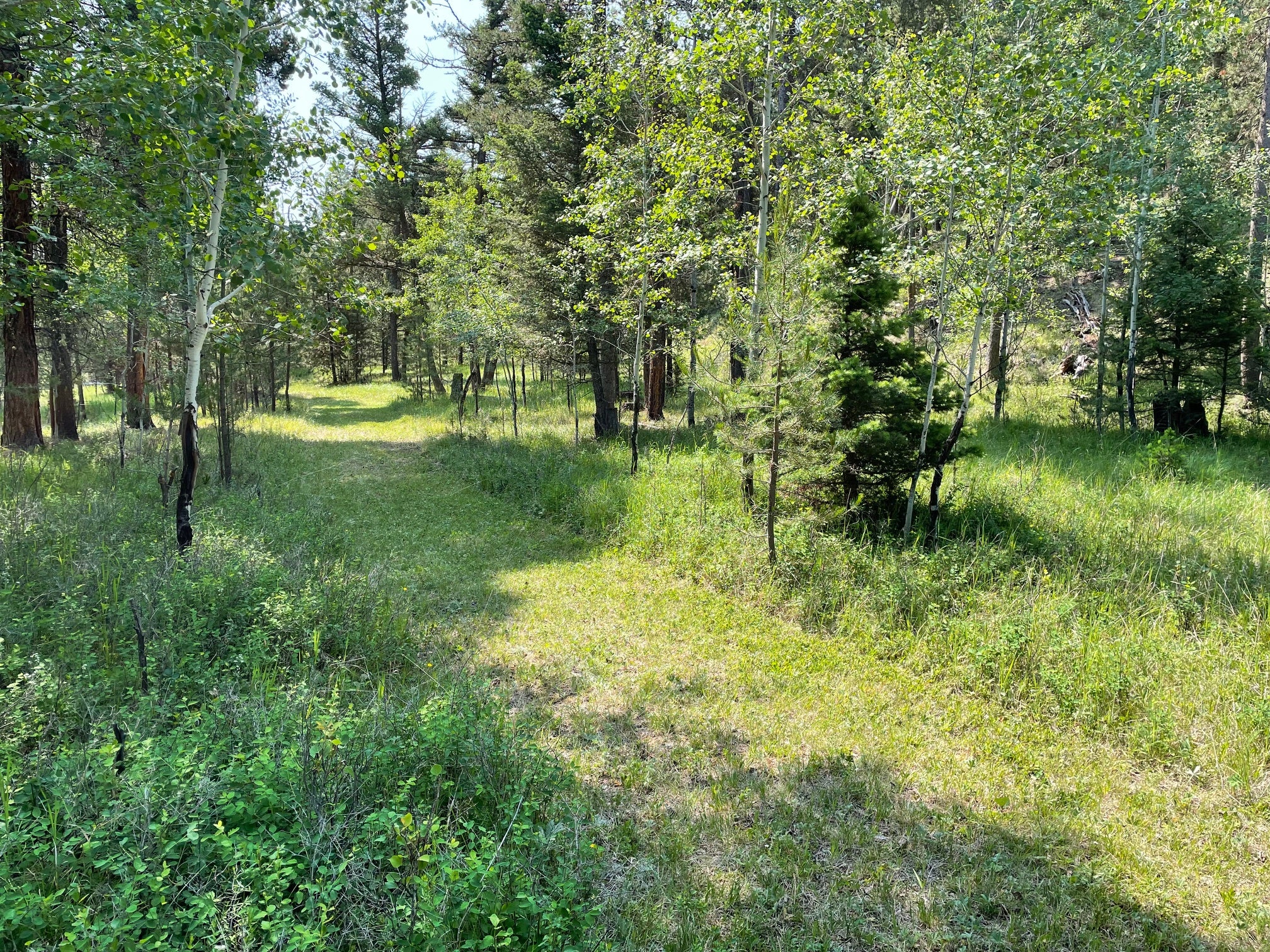1623 Herrin Lake Road Lincoln, MT 59639 - Photo 47 of 58 Gallery Image 47