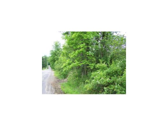 36 Rowe Road Colesville, NY 13787 - Photo 1 of 6 Gallery Image 1