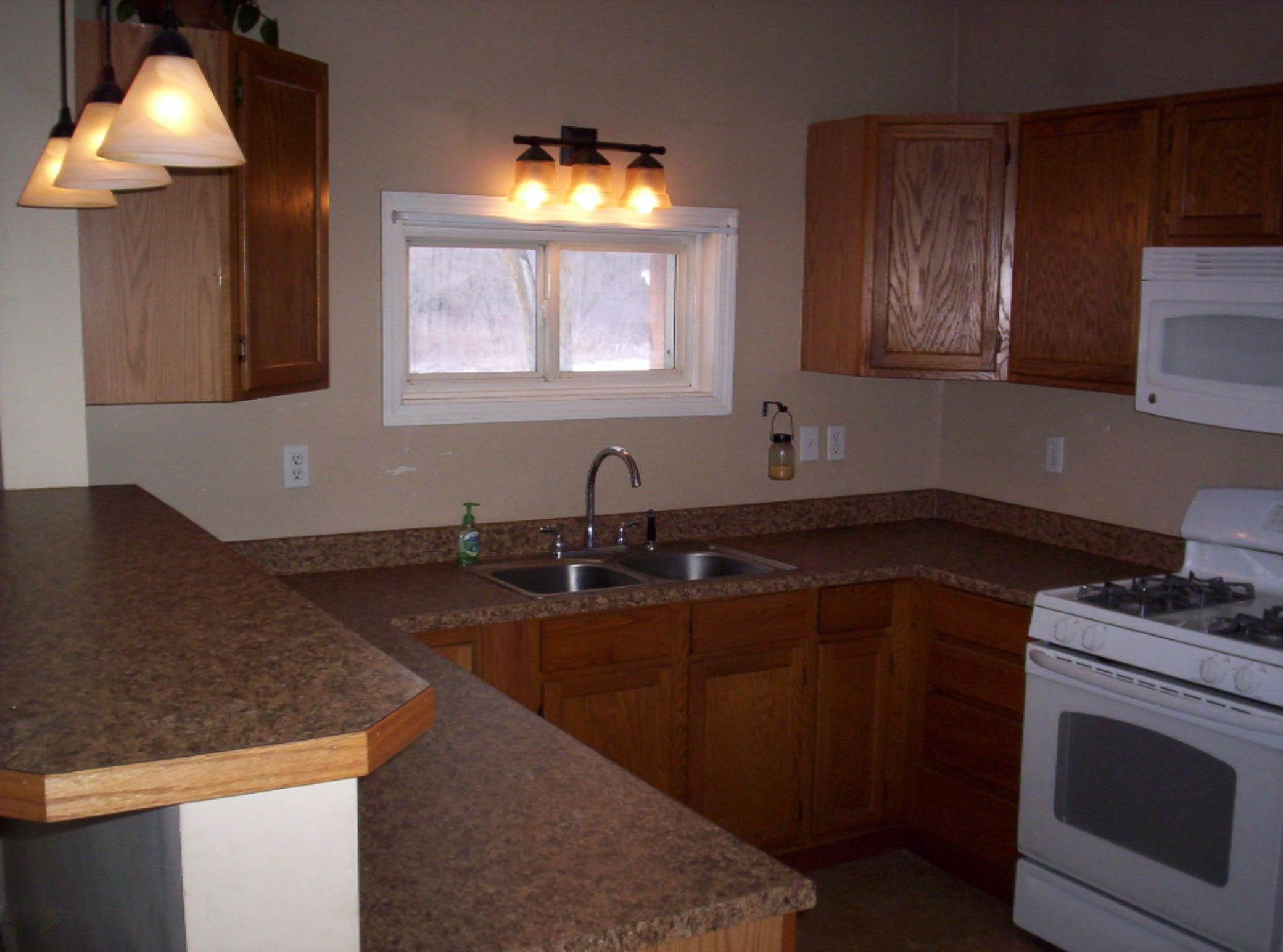 7020 Canfield Road Belding, MI 48809 - Photo 6 of 18 100_2503