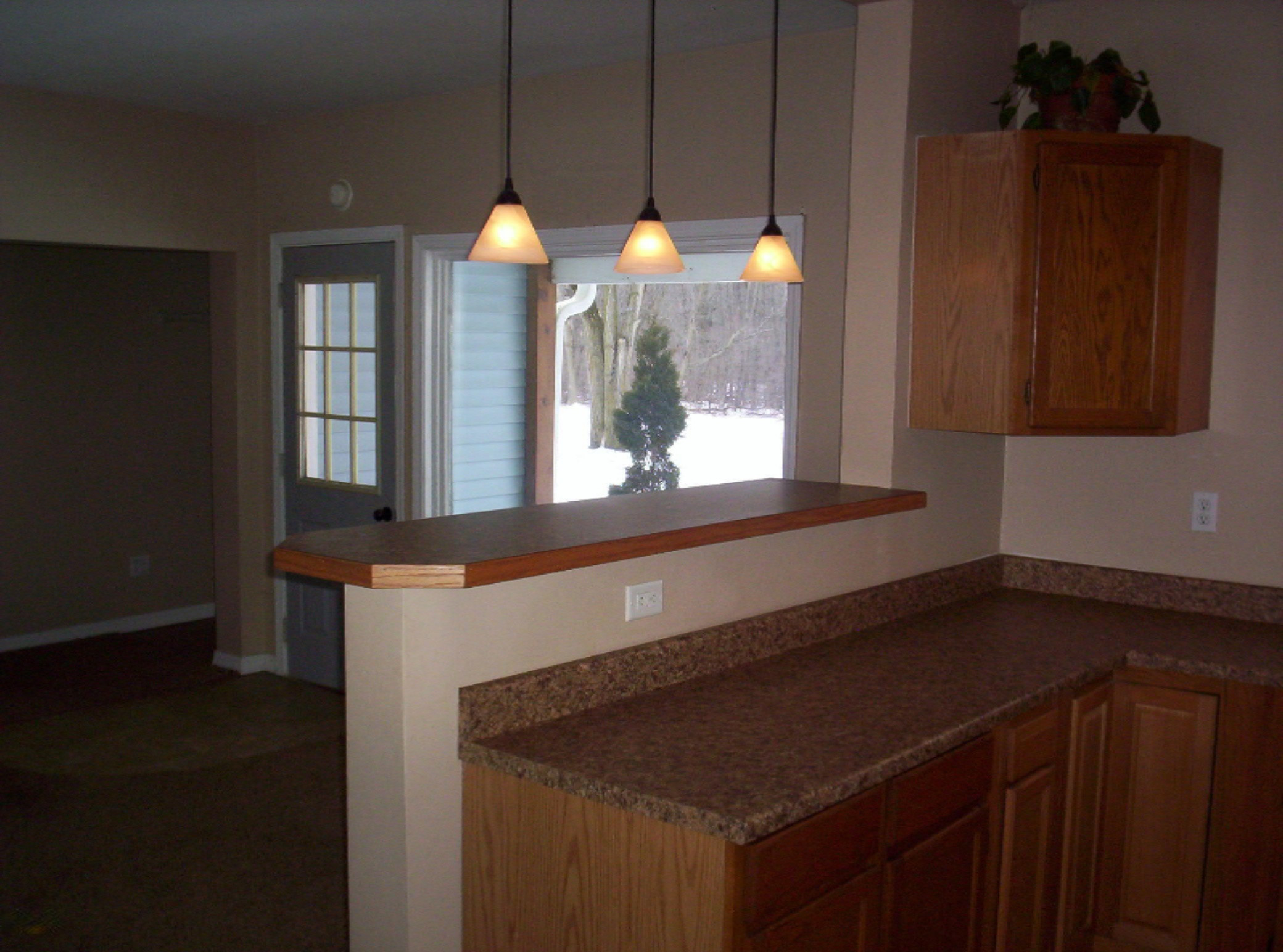 7020 Canfield Road Belding, MI 48809 - Photo 8 of 18 100_2504