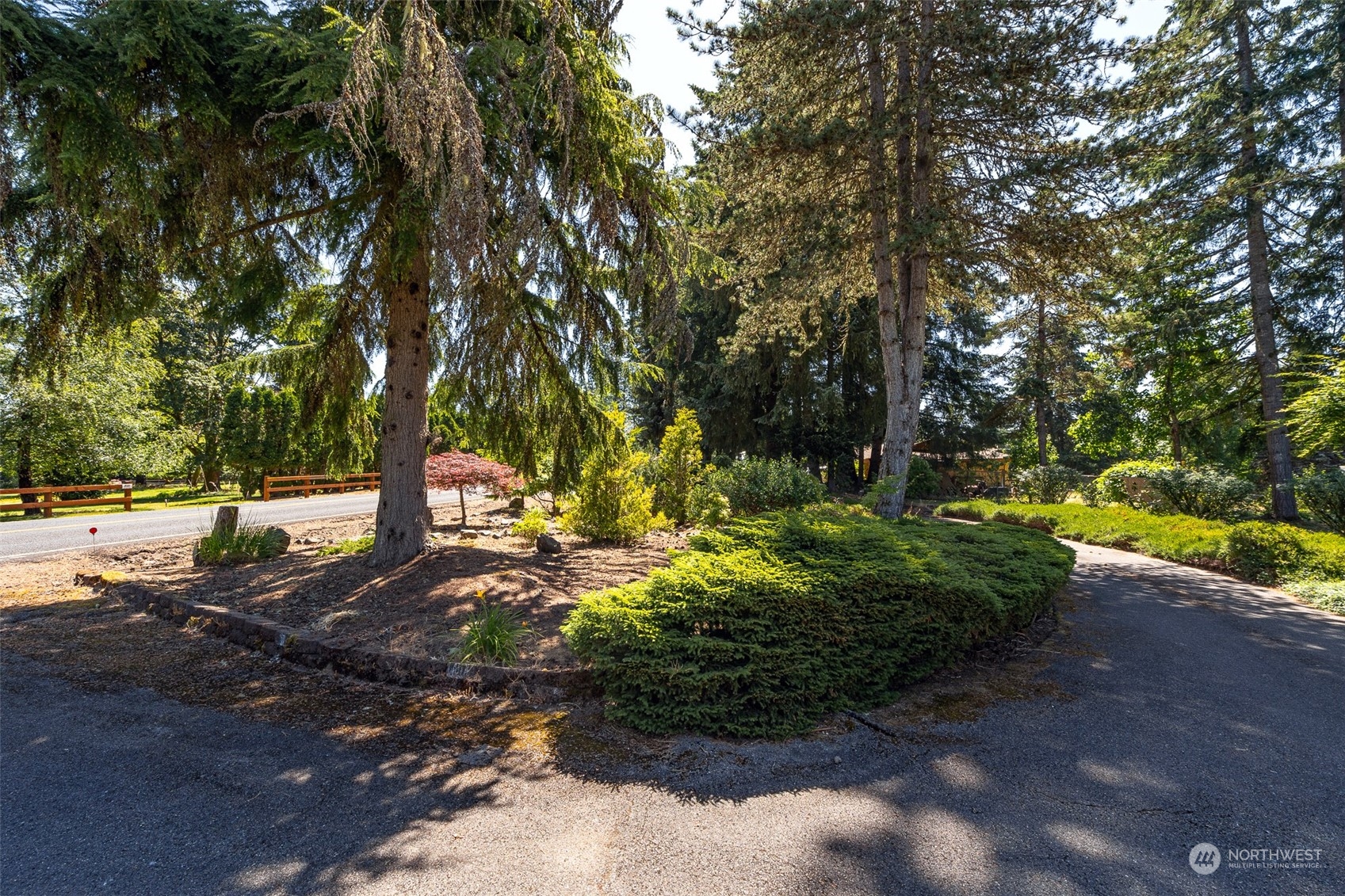 273 Brockway Road Chehalis, WA 98532 - Photo 4 of 39 a view of a yard with plants and trees