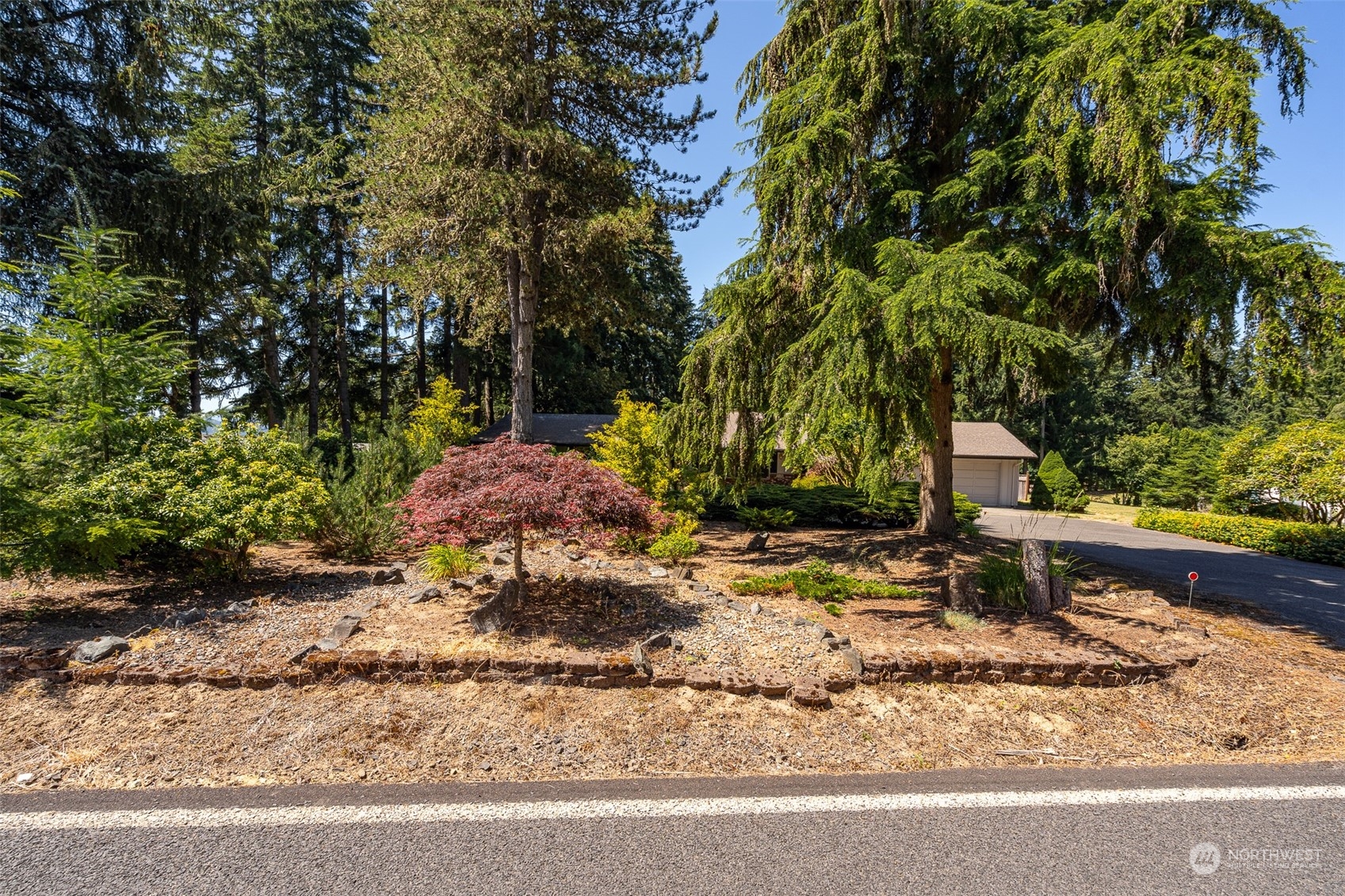 273 Brockway Road Chehalis, WA 98532 - Photo 5 of 39 a backyard of a house with a large tree