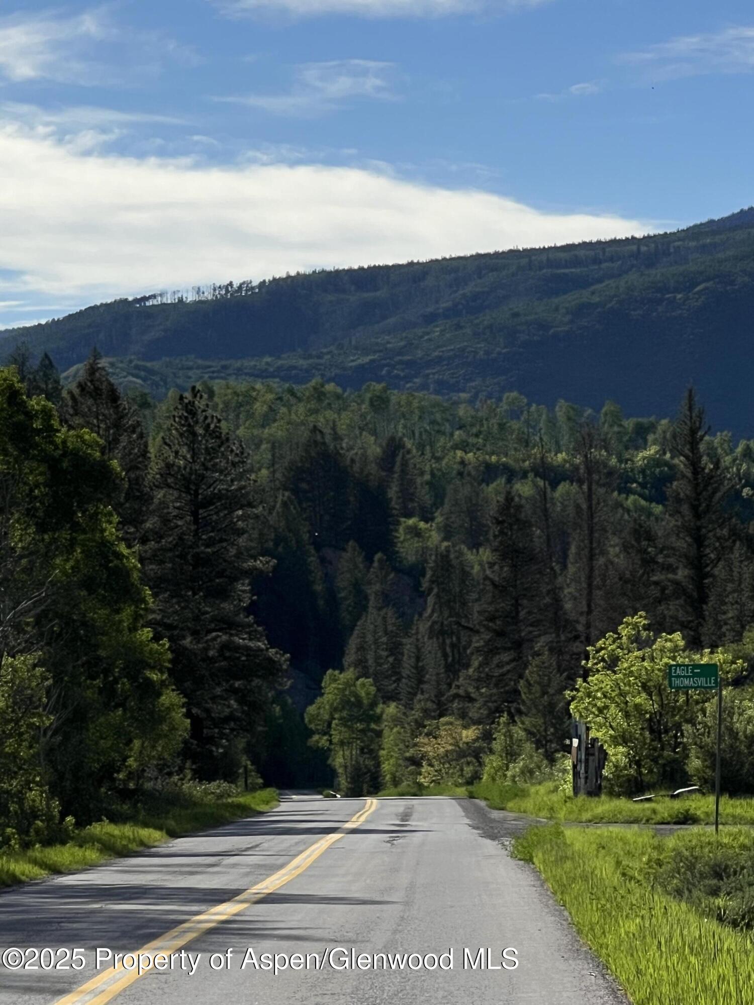 Frying Pan-Ruedi Meredith, CO 81642 - Photo 26 of 28 IMG_8316