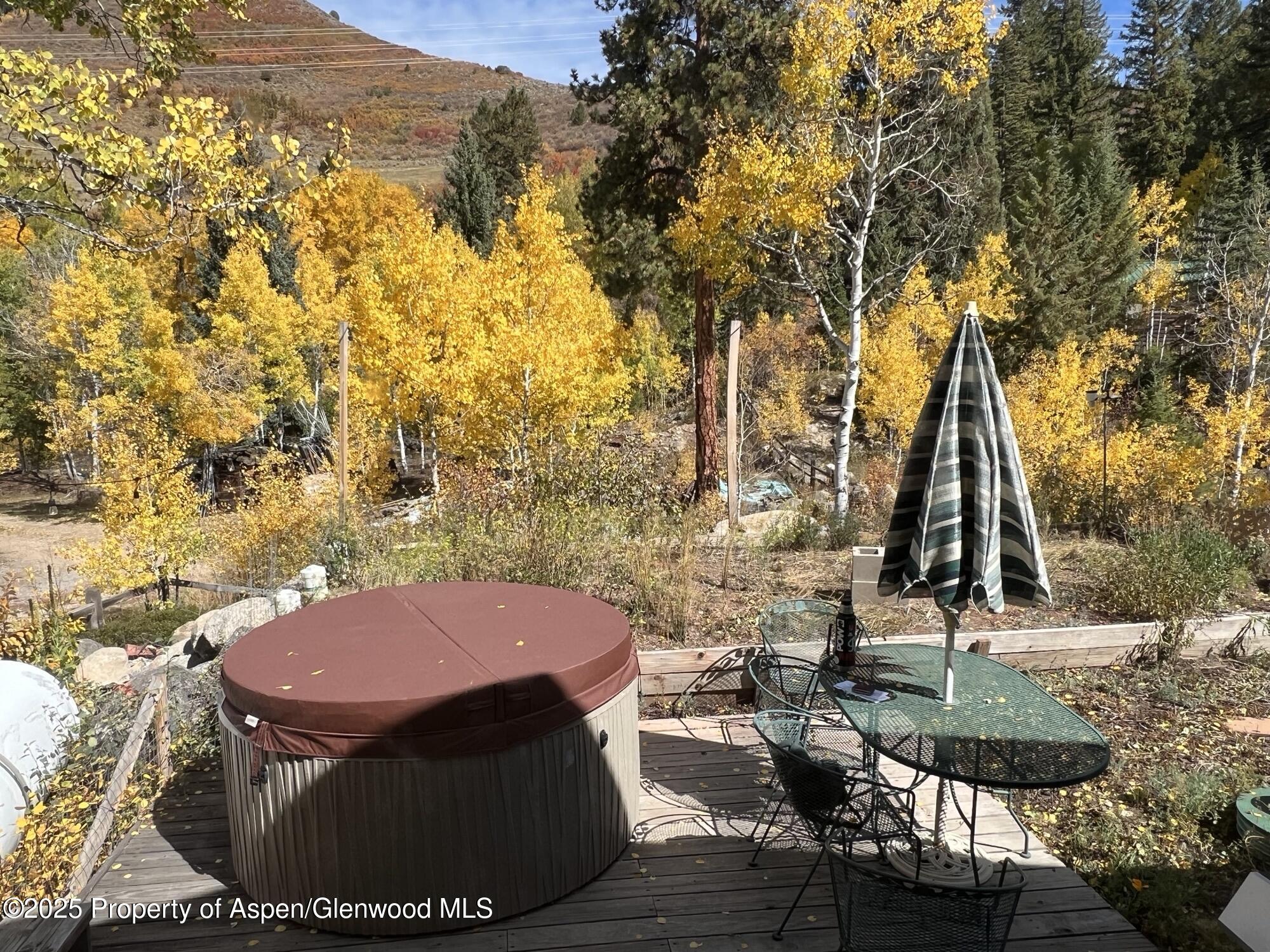 Frying Pan-Ruedi Meredith, CO 81642 - Photo 3 of 28 IMG_2589