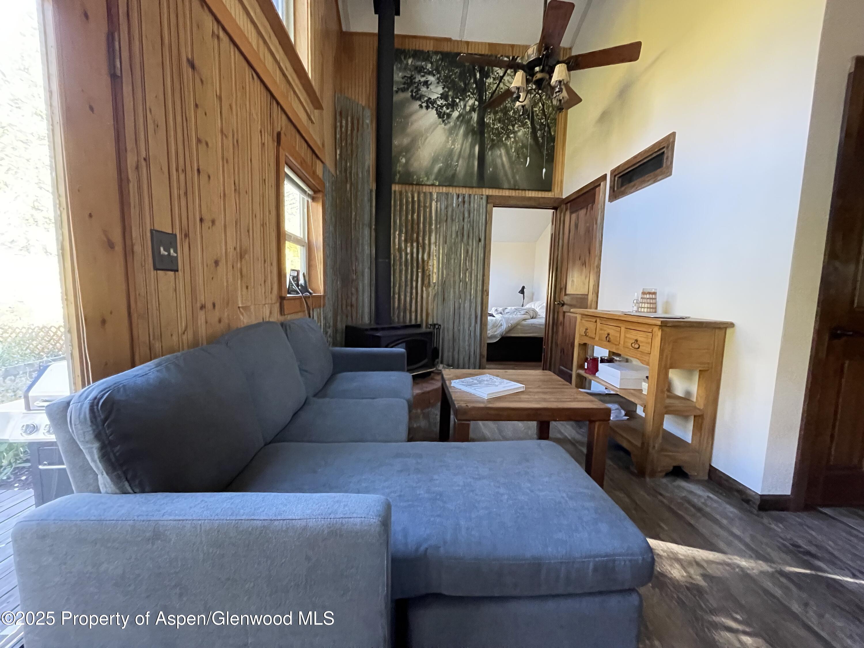 Frying Pan-Ruedi Meredith, CO 81642 - Photo 8 of 28 IMG_4743