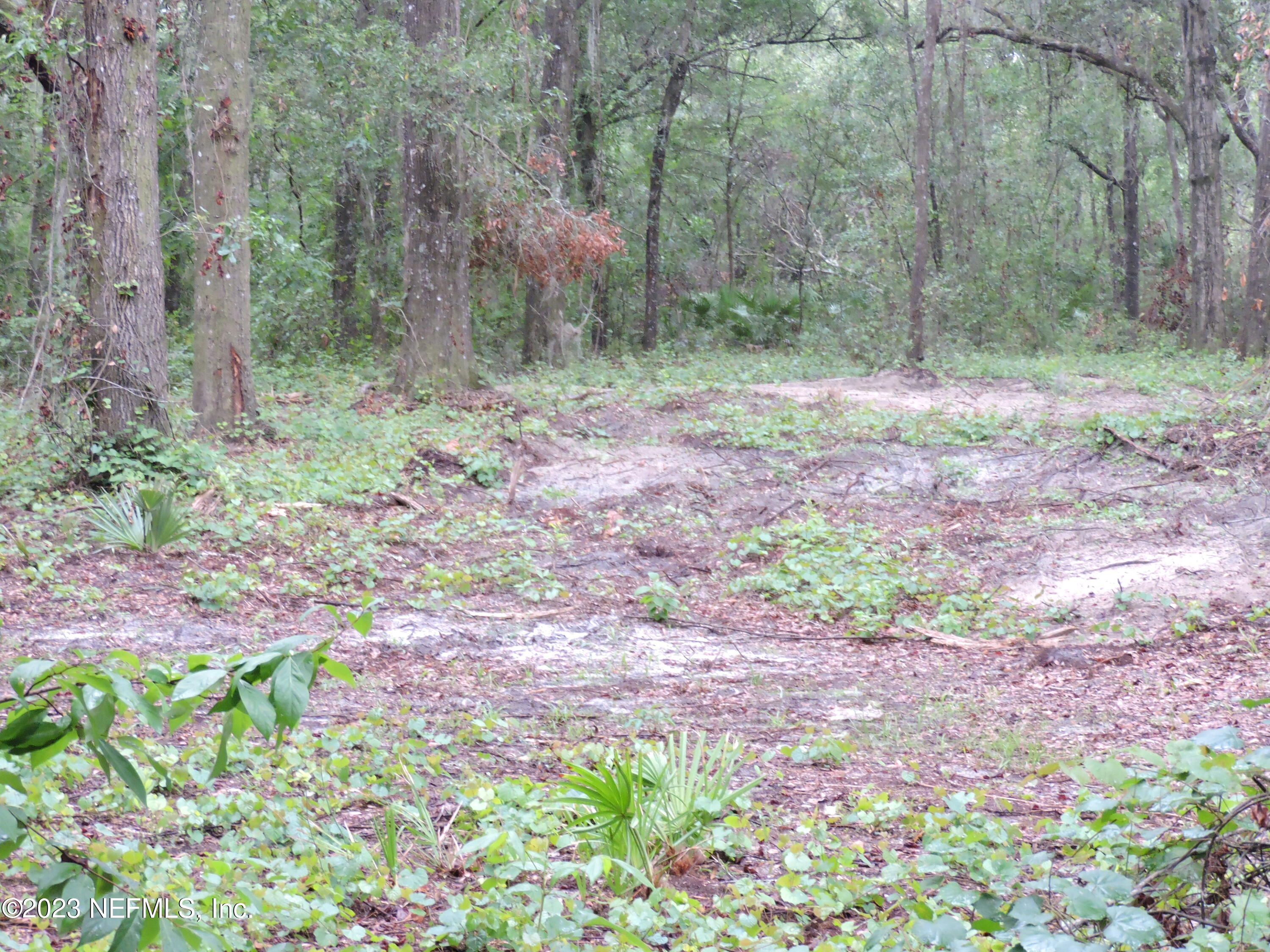 105 Ranchette Lane Florahome, FL 32140 - Photo 15 of 32 DSCN3139