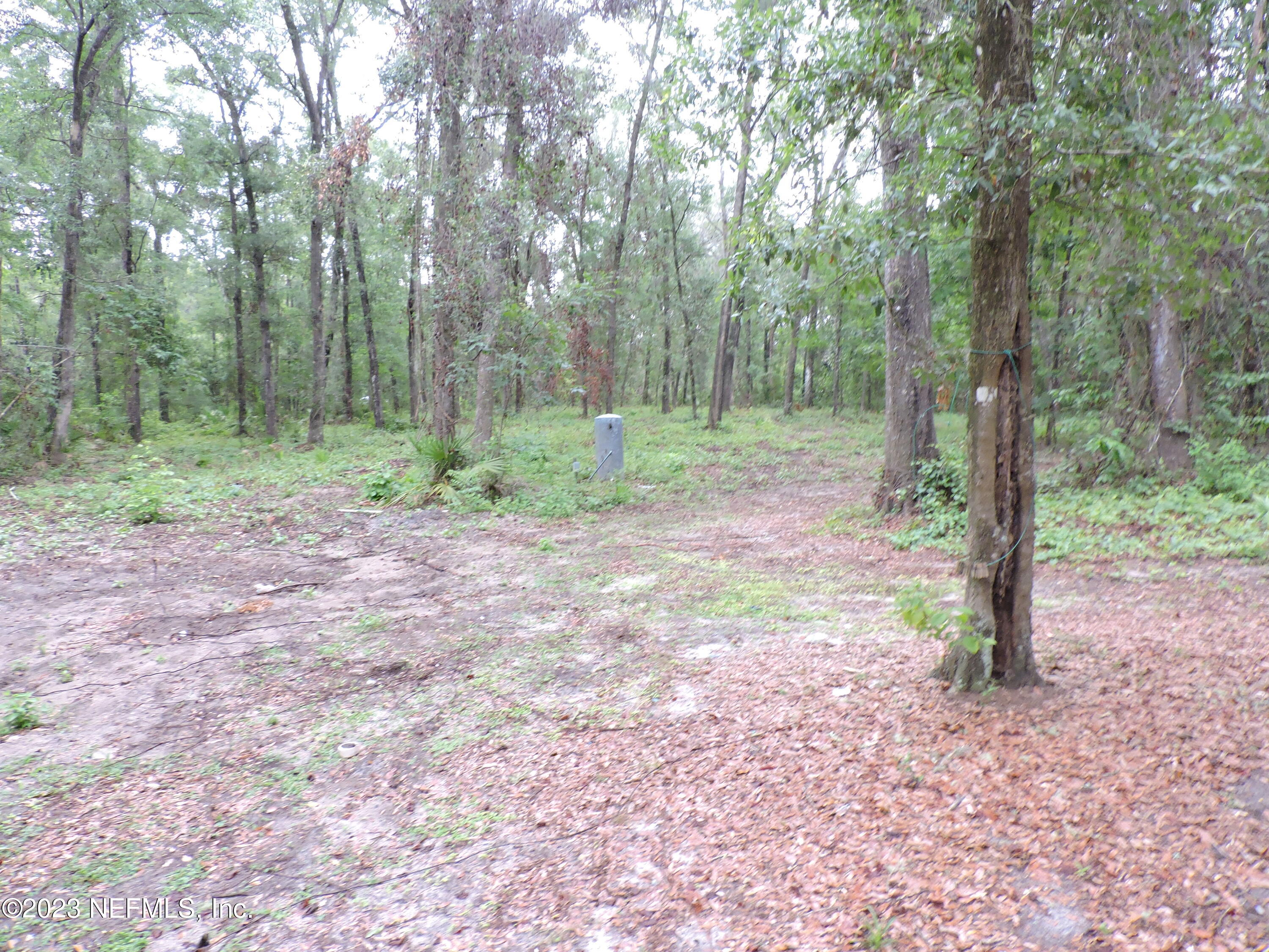 105 Ranchette Lane Florahome, FL 32140 - Photo 16 of 32 DSCN3141