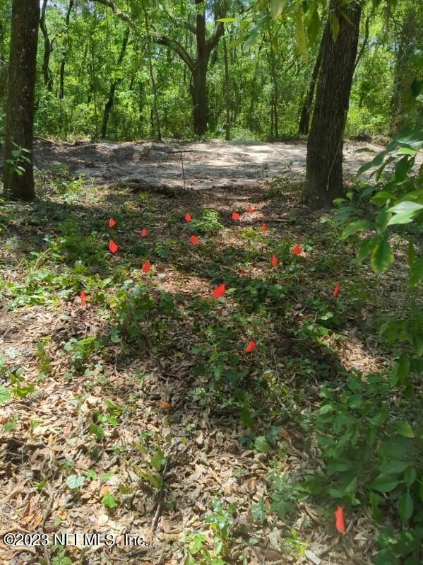 105 Ranchette Lane Florahome, FL 32140 - Photo 25 of 32 image000000