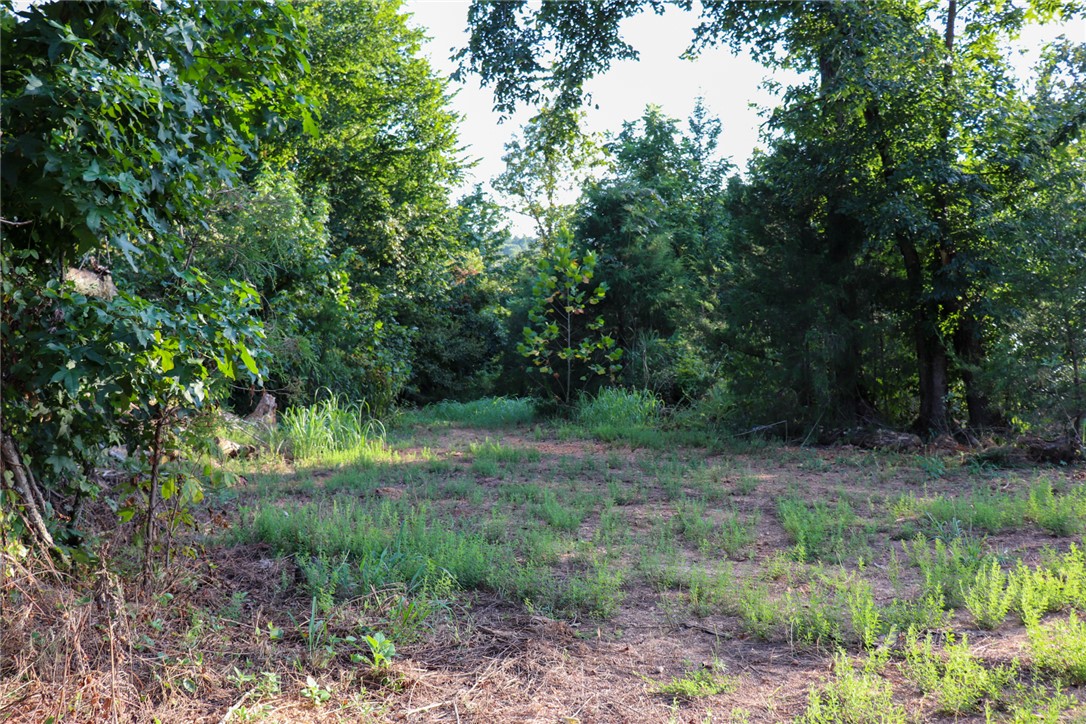 922 Baker Cemetery Road Williford, AR 72482 - Photo 16 of 50 Gallery Image 16