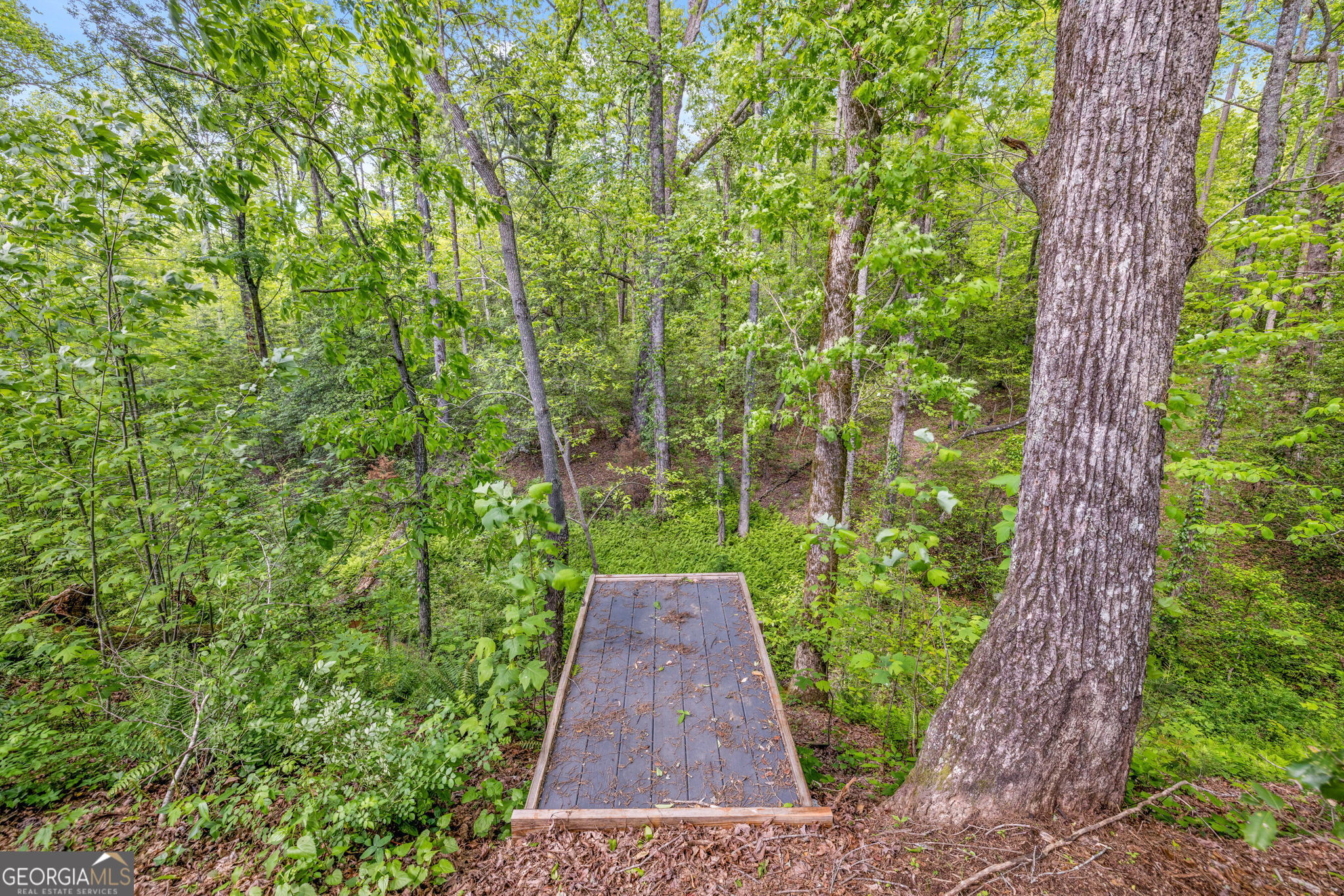 135 Mountain Ridge Drive Clarkesville, GA 30523 - Photo 51 of 85