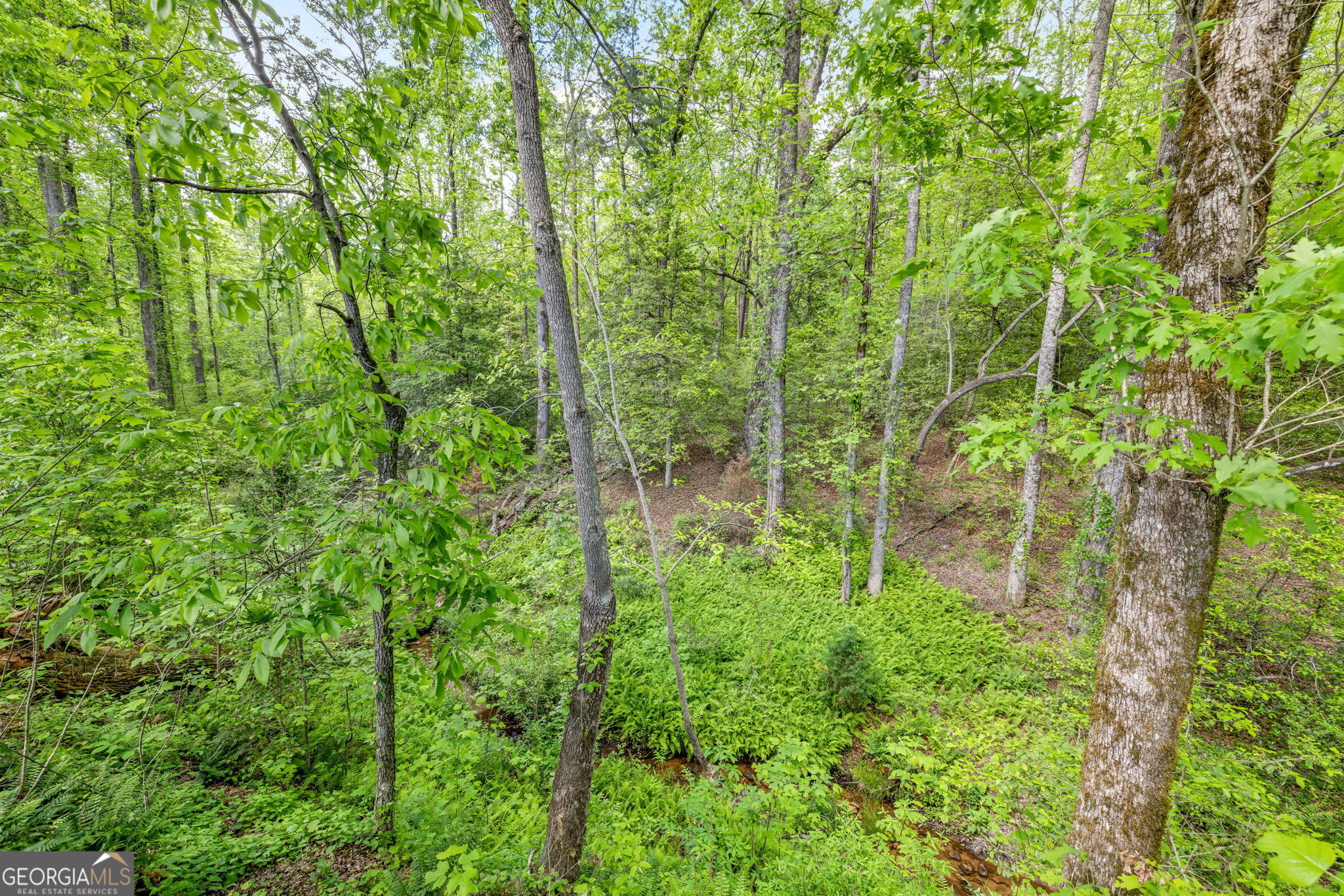 135 Mountain Ridge Drive Clarkesville, GA 30523 - Photo 52 of 85