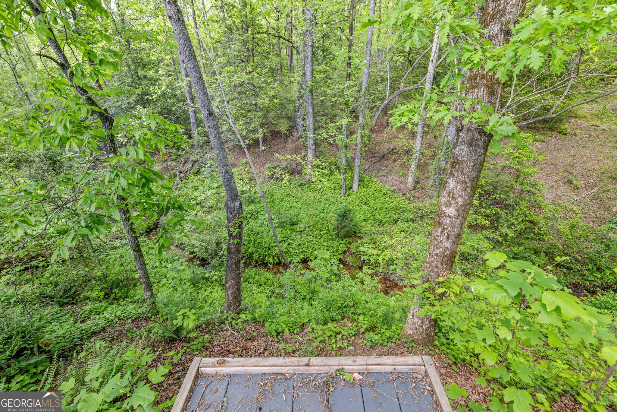 135 Mountain Ridge Drive Clarkesville, GA 30523 - Photo 53 of 85