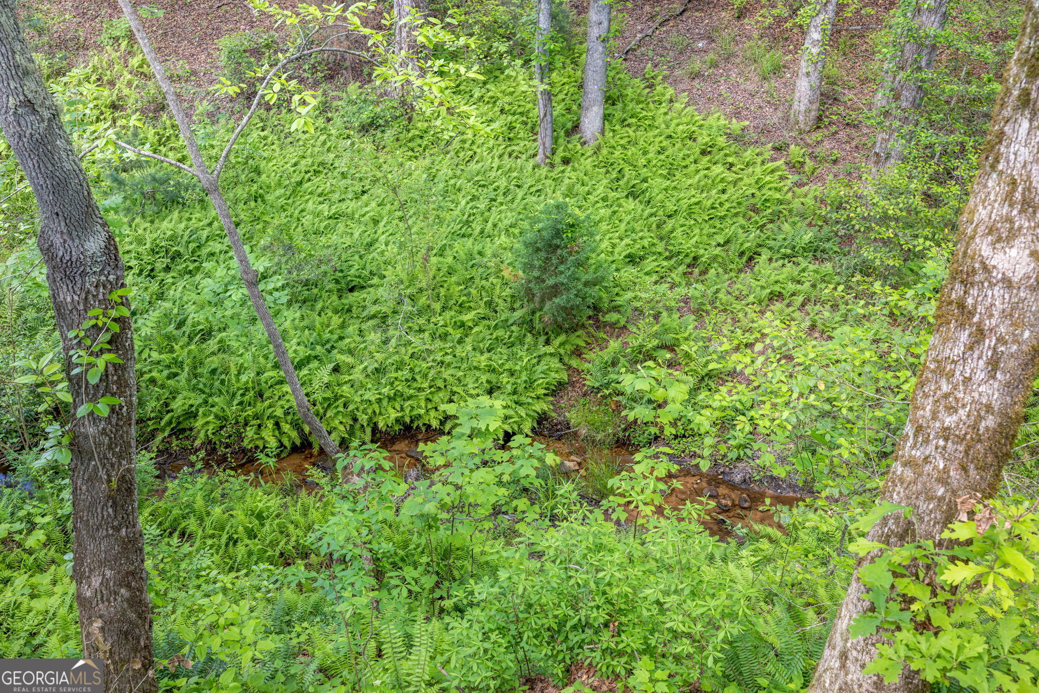 135 Mountain Ridge Drive Clarkesville, GA 30523 - Photo 54 of 85