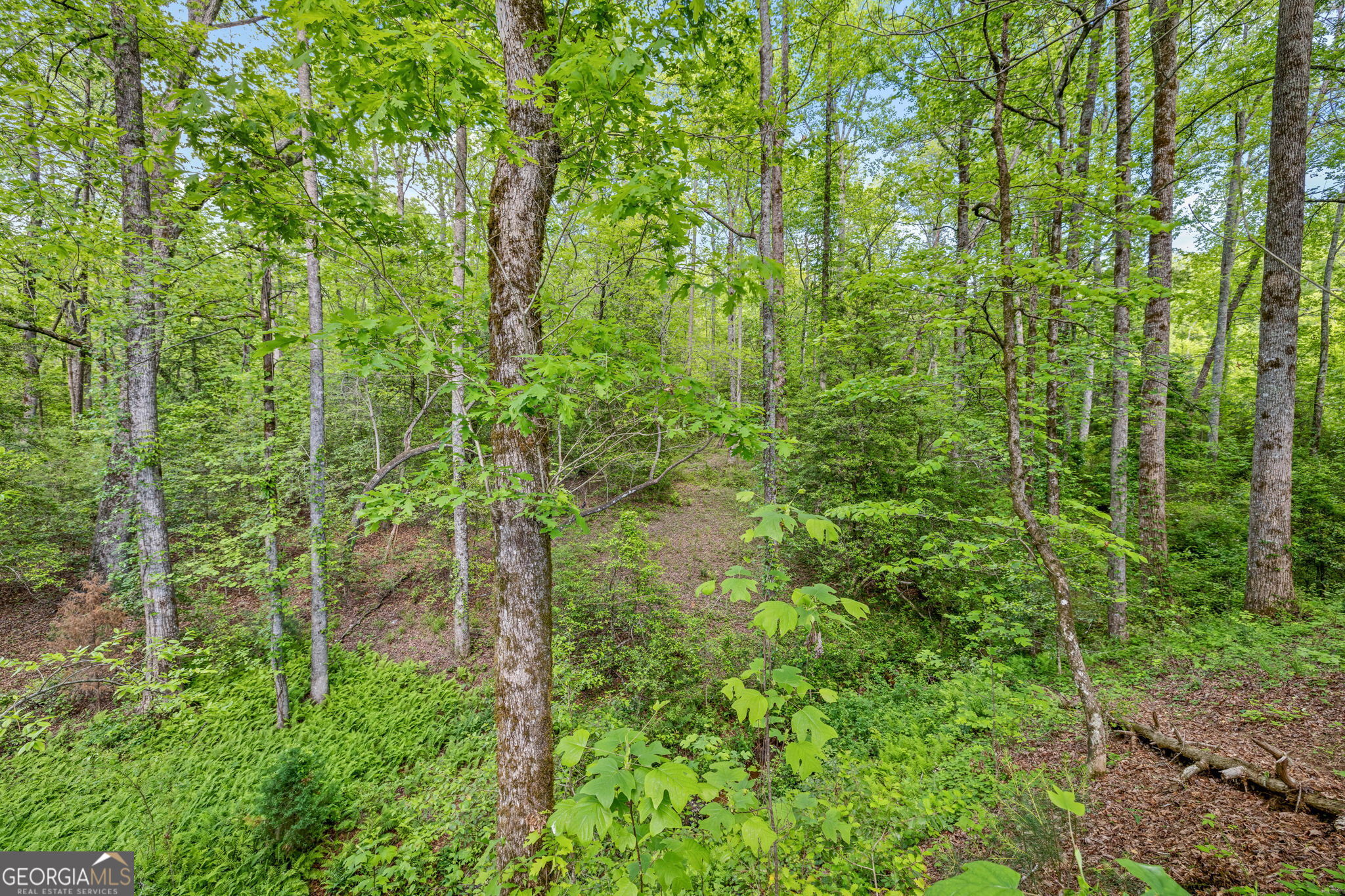 135 Mountain Ridge Drive Clarkesville, GA 30523 - Photo 55 of 85