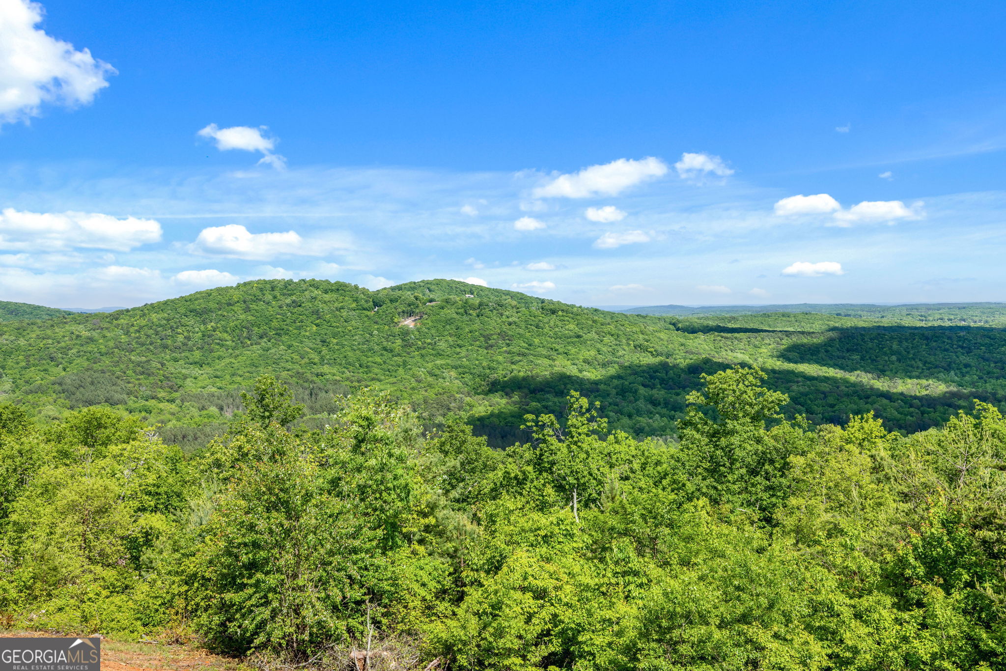 135 Mountain Ridge Drive Clarkesville, GA 30523 - Photo 60 of 85