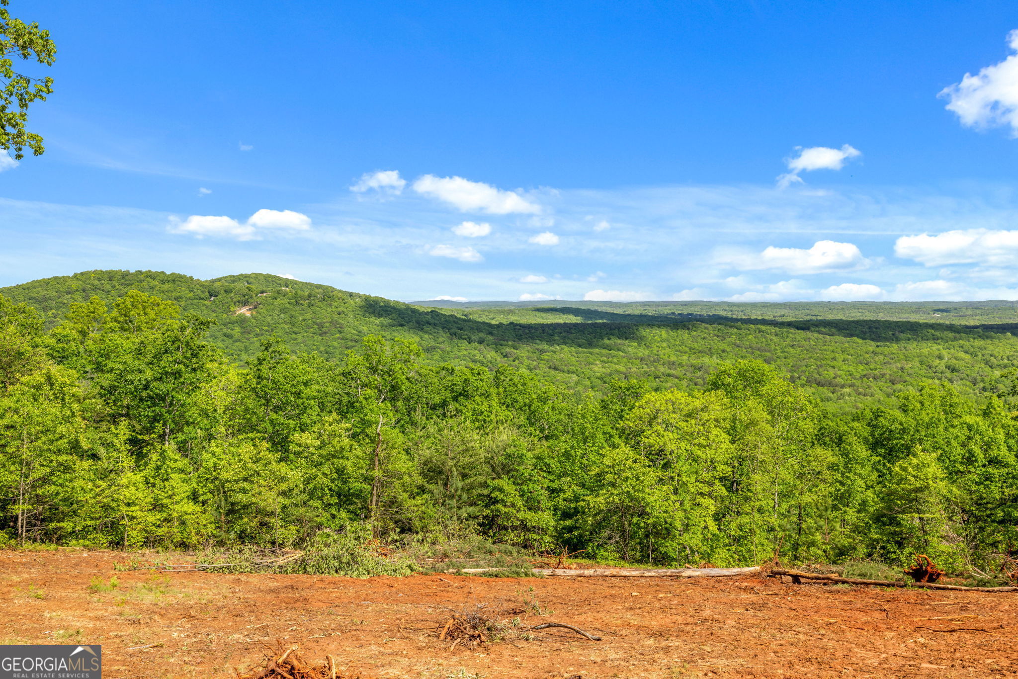 135 Mountain Ridge Drive Clarkesville, GA 30523 - Photo 70 of 85